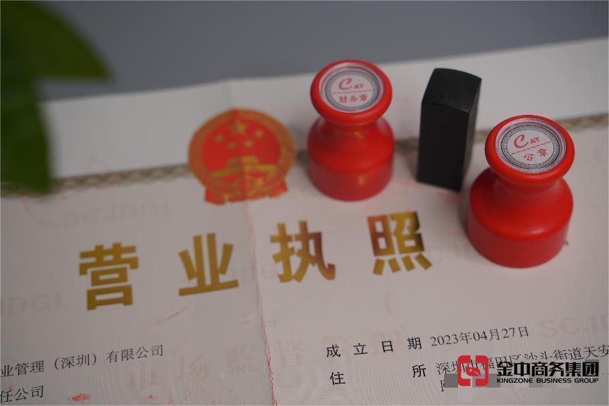 深圳公司年審